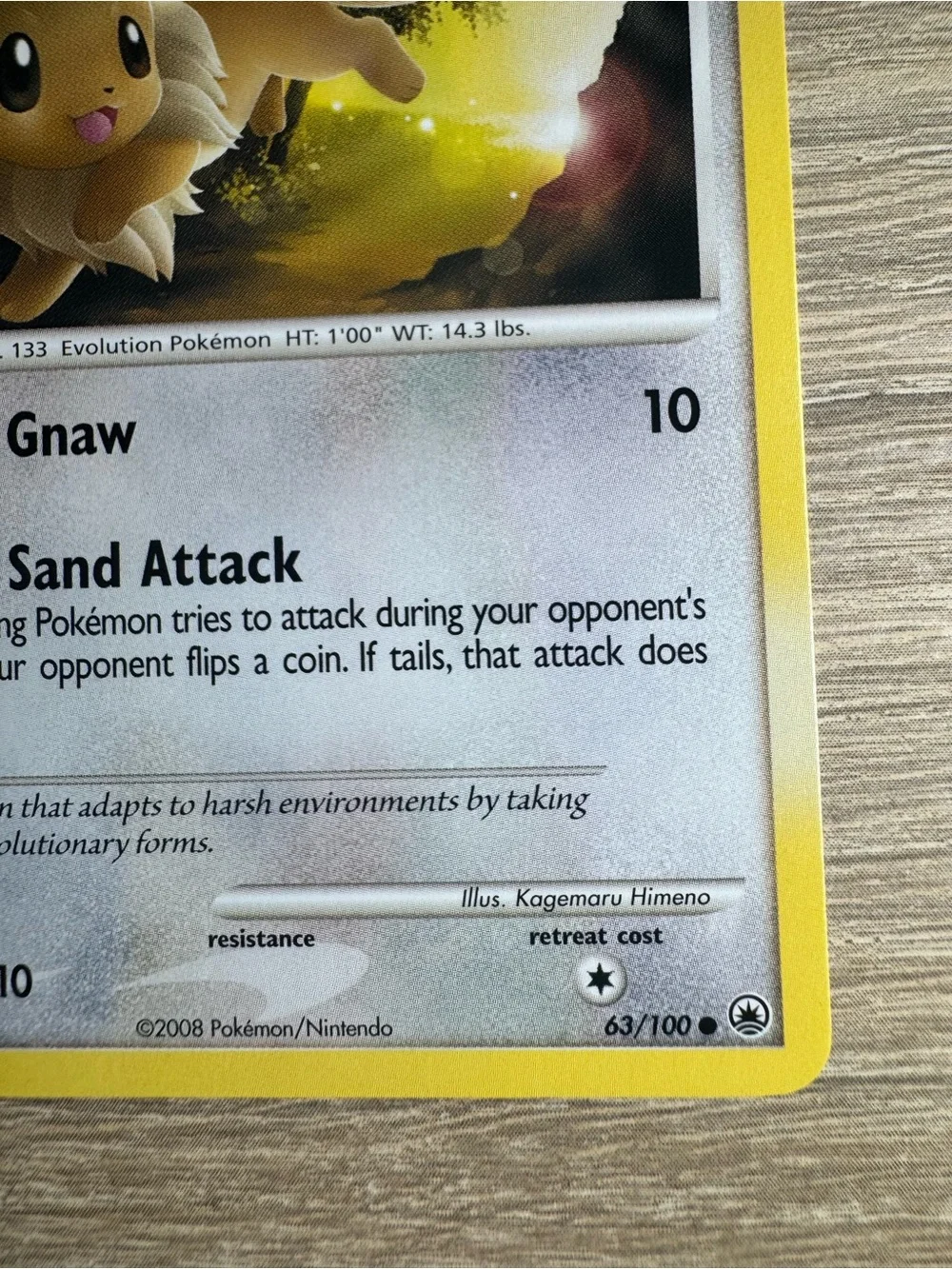 Eevee #63/Pokemon Majestic Dawn